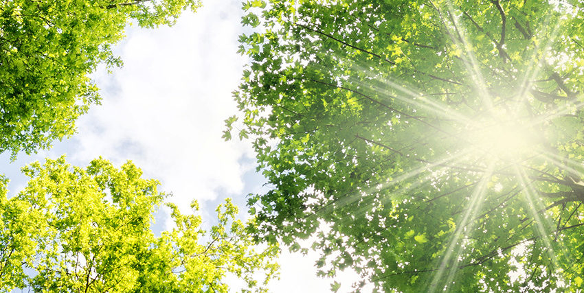 Klimaschutz im Landkreis Schaumburg