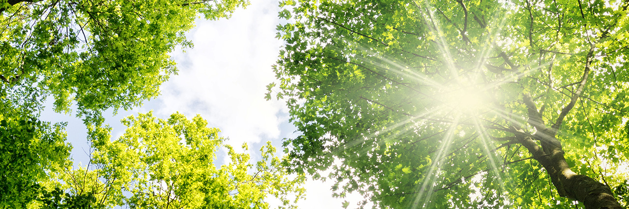 Klimaschutz im Landkreis Schaumburg